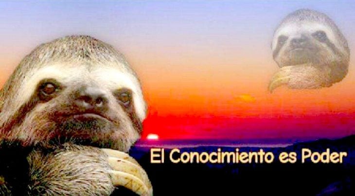el conocimiento es poder