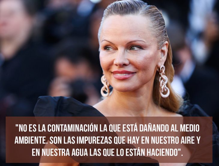 frases tontas de las celebridades