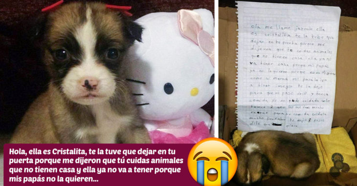 Niña tuvo que abandonar a su perrita y dejó una nota explicando sus motivos, ¡te partirán el corazón!