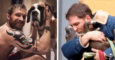 25 Fotos que demuestran el amor de Tom Hardy por los perros… y el nuestro por él