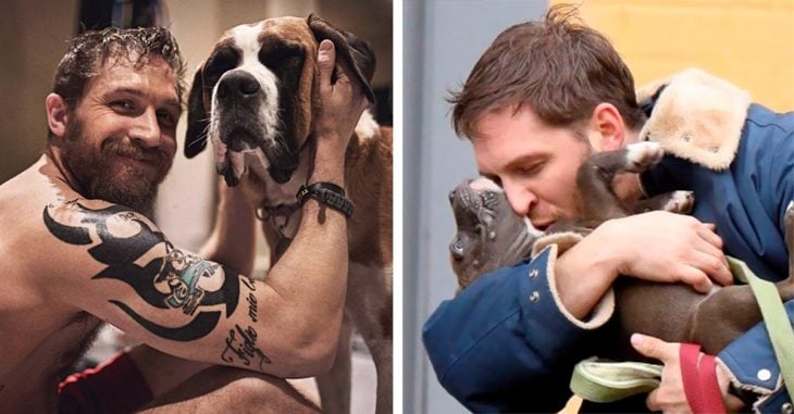 25 Fotografías de Tom Hardy con sus cachorros que te derretirán el corazón; ¡Este hombre es perfecto!