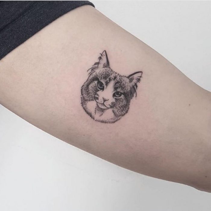 Tattoos de gato