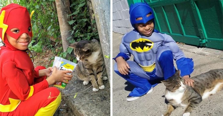 Este niño de 5 años se ha convertido en Catman, al salvar gatos callejeros