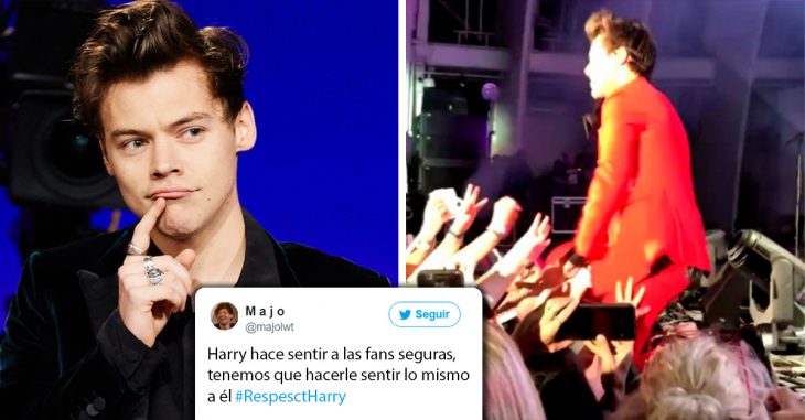 Harry Styles fue víctima de acoso sexual durante un concierto en Los Ángeles