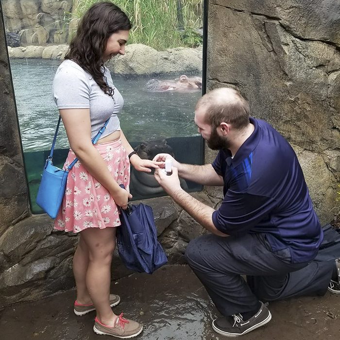 Pareja de novios que se comprometieron frente al estanque de Fiona una hipopótamo 