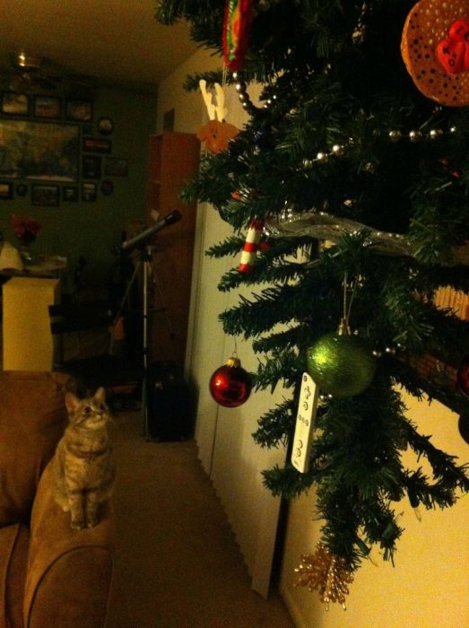 arbol de navidad al revés 