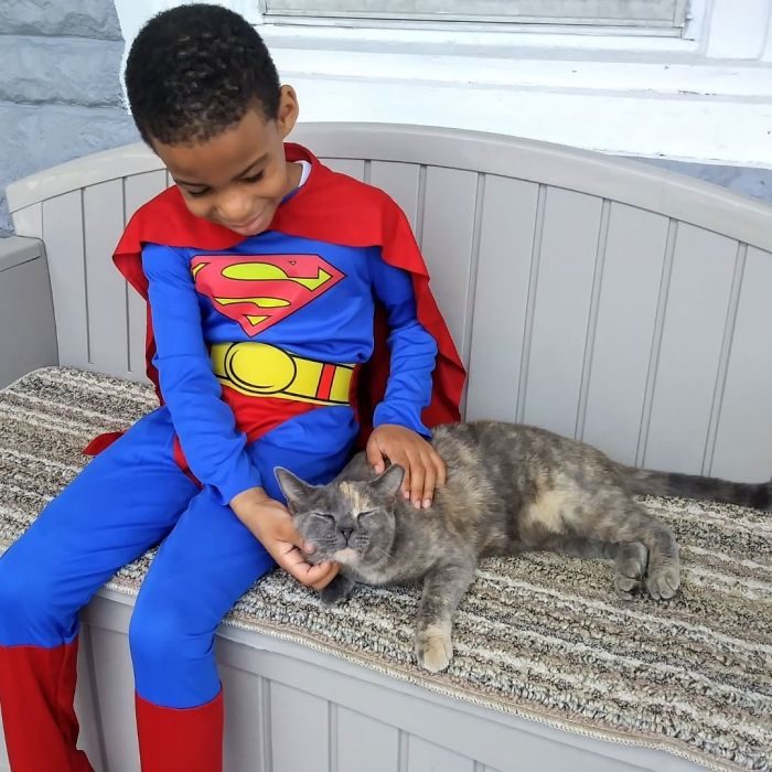 niño cuidando un gato 