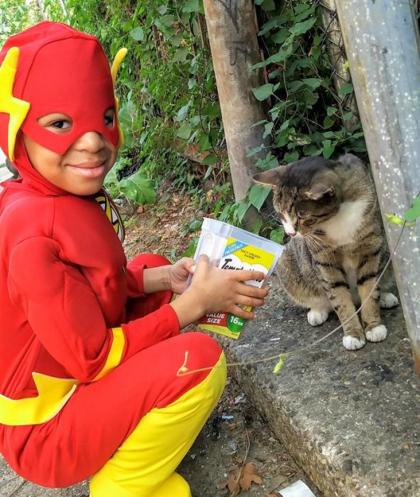 niño alimentando a un gato 