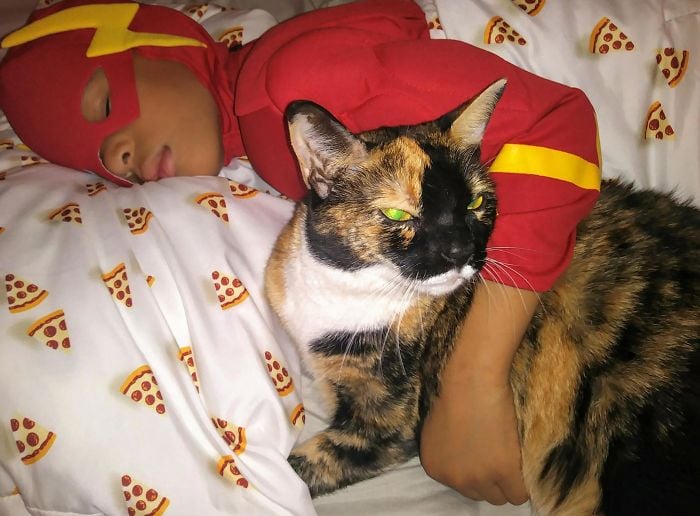 niño durmiendo con un gato 