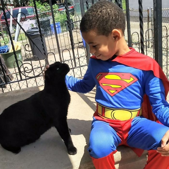 niño sentado con un gato 