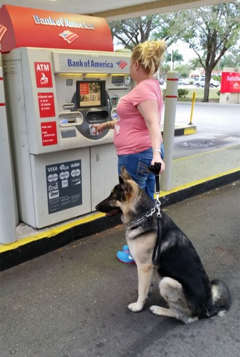 Perros como guardias de seguridad en un cajero automático 