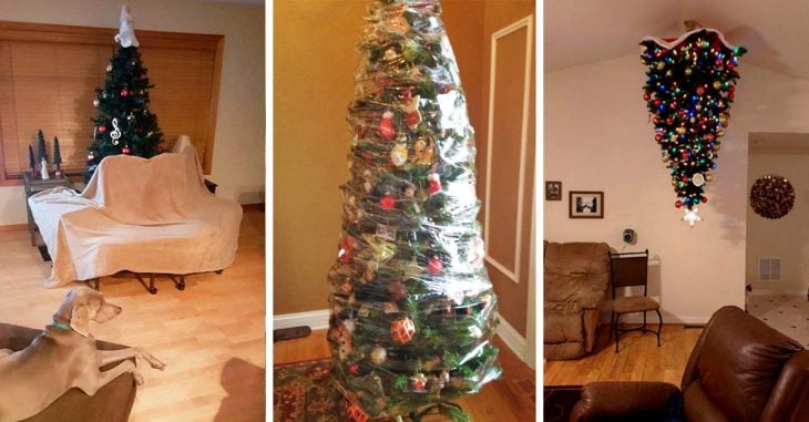 Madres que protegen árboles navideños de sus traviesas mascotas; las sus creaciones son lo más divertido