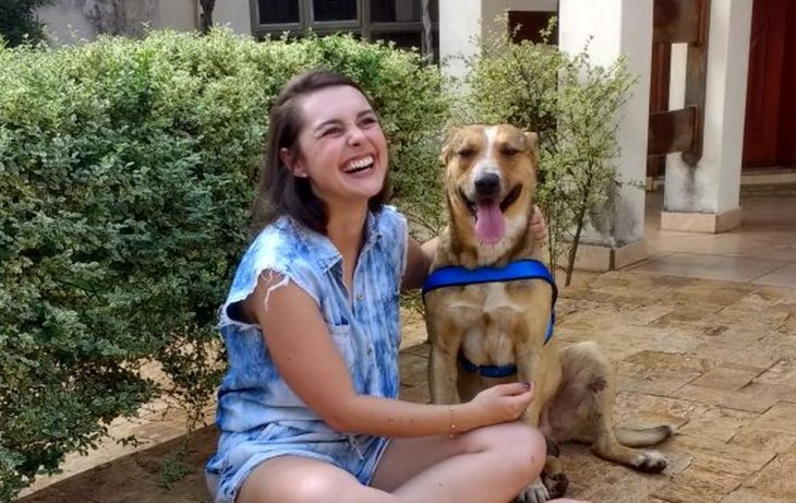 perrito en boda