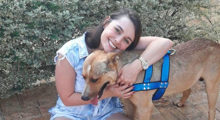 perrito en boda