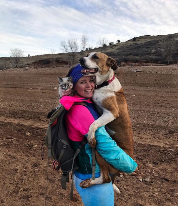 gato y perro amigos por el mundo