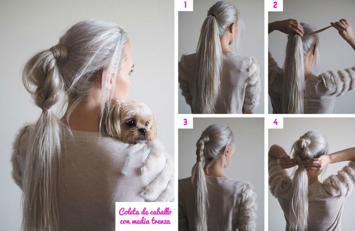 cola de caballo con trenza