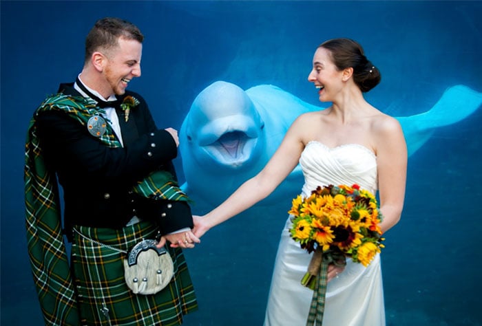  funny wedding photoboom