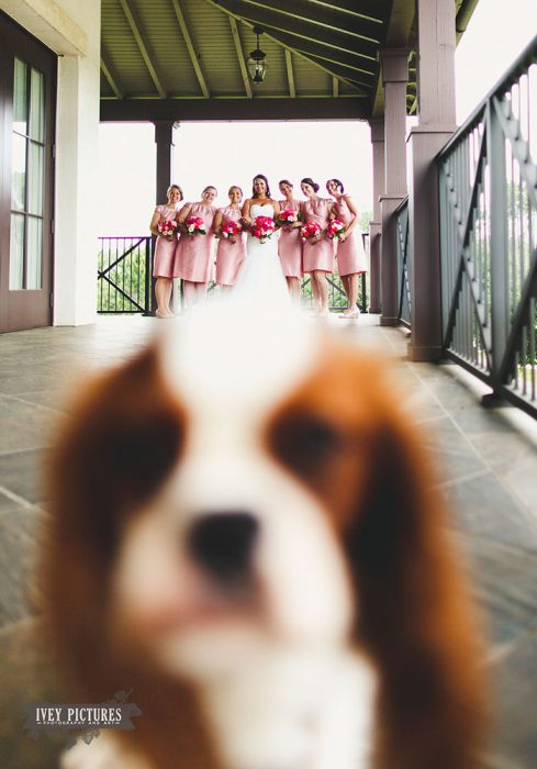  funny wedding photoboom