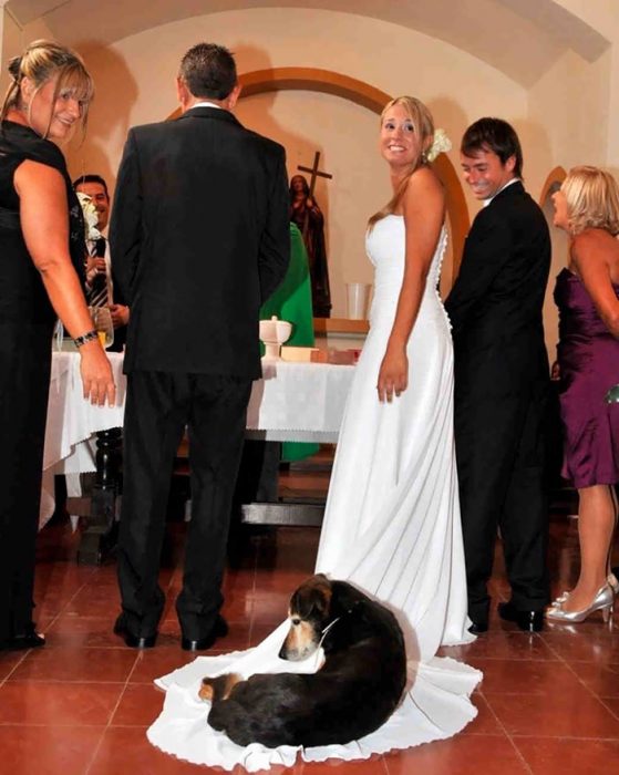  funny wedding photoboom