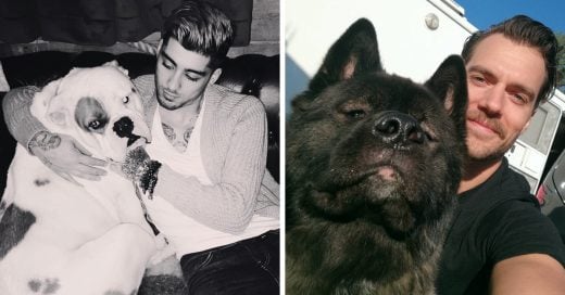 10 Celebridades que adoran a su mascota en Instagram