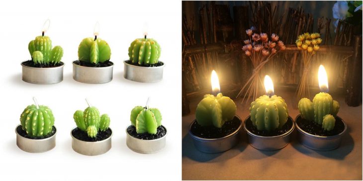 velitas de cactus