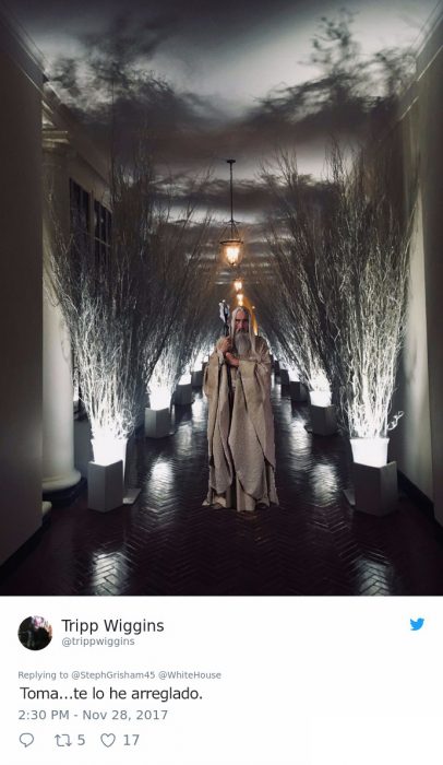 Melania Trump decoración trol