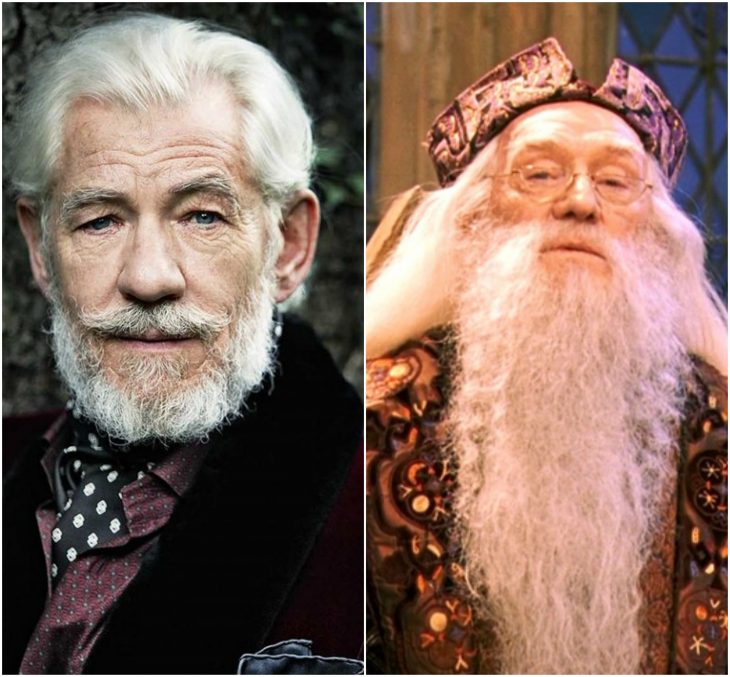 Ian McKellen - Dumbledore