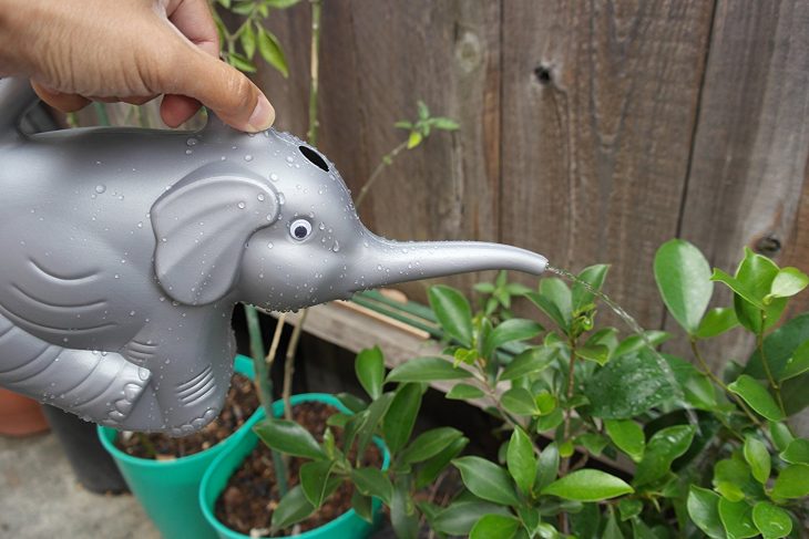 elefante regadera plastica reddish