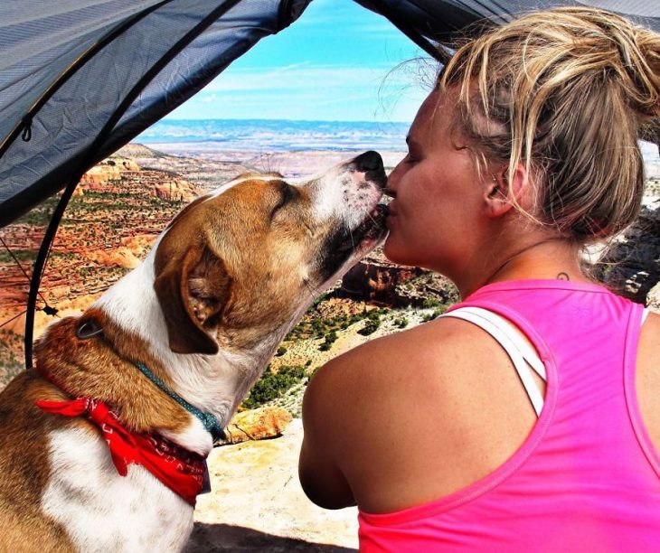 gato y perro amigos por el mundo