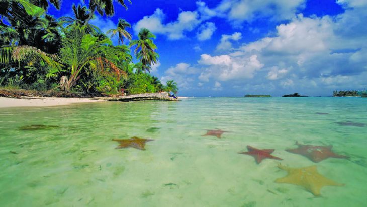 bocas del toro