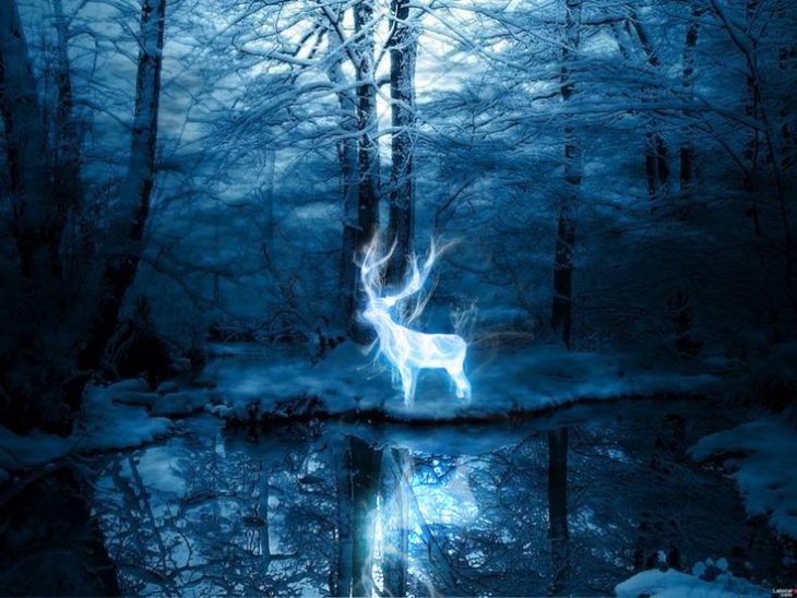 expecto patronum