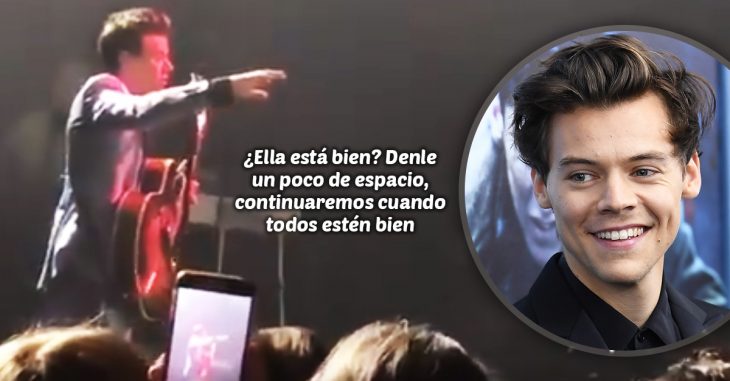 Harry Styles detuvo su concierto para poder ayudar a una fan que sufría un ataque de pánico