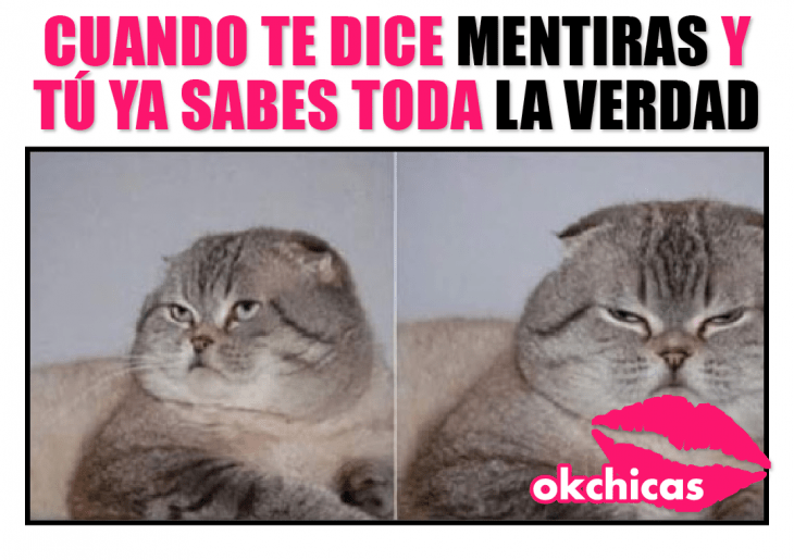 memes para tu ex