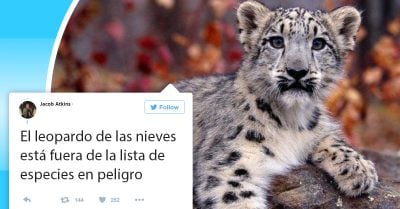 Cansado de historias negativas, este héroe sin capa publica las noticias más alentadoras del 2017