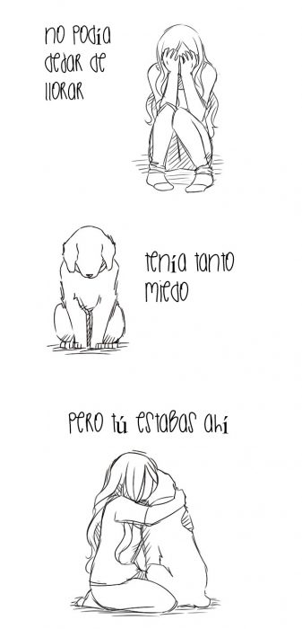 adiós perrito