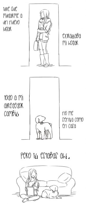 adiós perrito