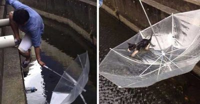 15 Inspiradores momentos del 2017 que serán tu motor de esperanza durante este año