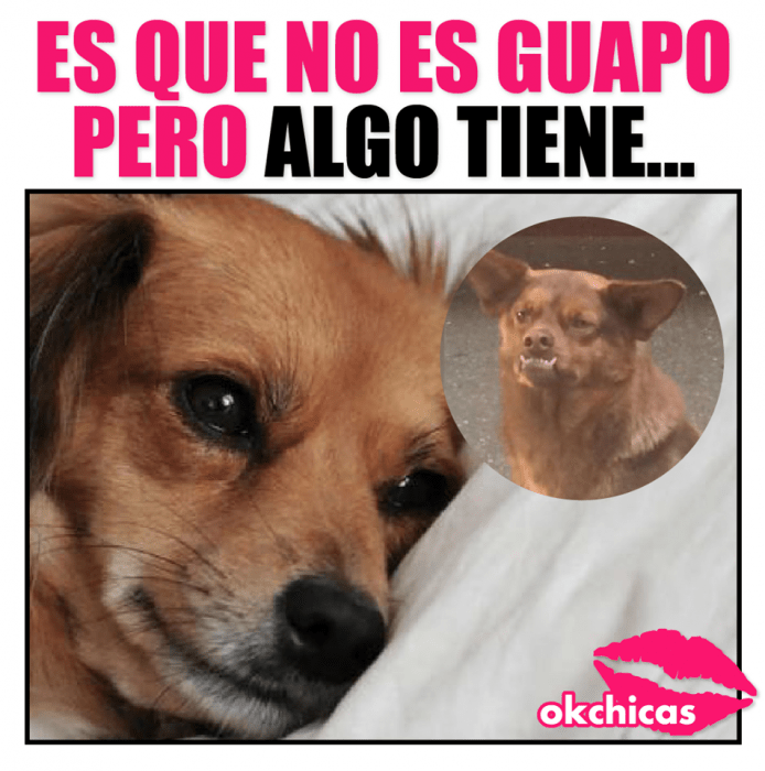 Mejores memes - es que no es guapo pero algo tiene