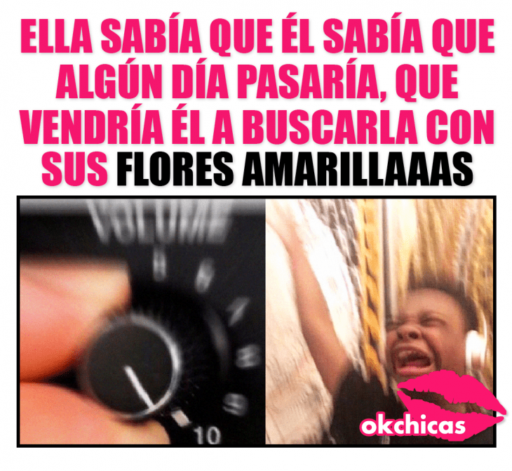 Mejores memes - Ella sabía que él sabía que algún día pasaría, que vendría él a buscarla con sus flores amarillas