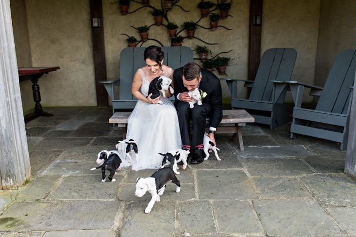 Pareja que adoptó a una camada de cachorros jugando con ellos el día de su boda 