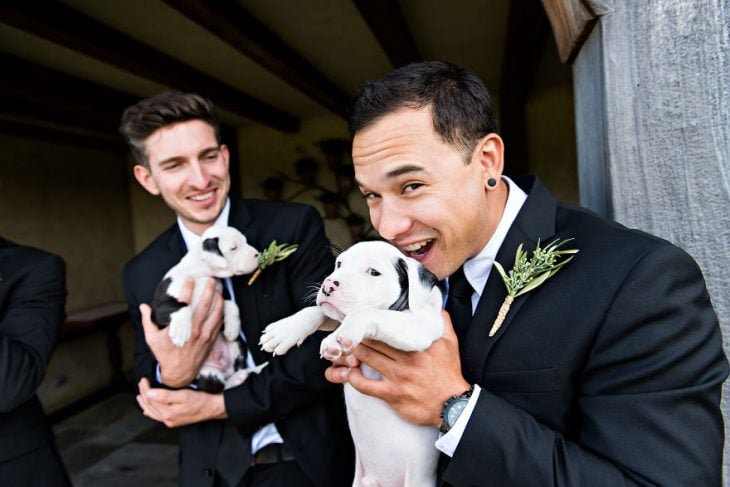 Pareja que adoptó a una camada de cachorros jugando con ellos el día de su boda 