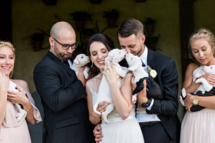 Pareja que adoptó a una camada de cachorros jugando con ellos el día de su boda 