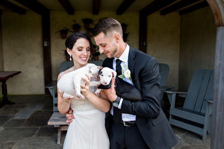 Pareja que adoptó a una camada de cachorros jugando con ellos el día de su boda 