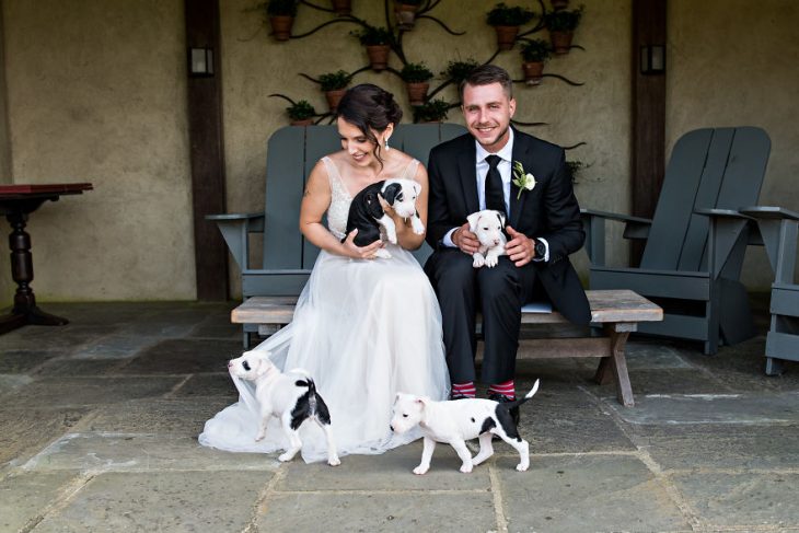 Pareja que adoptó a una camada de cachorros jugando con ellos el día de su boda 