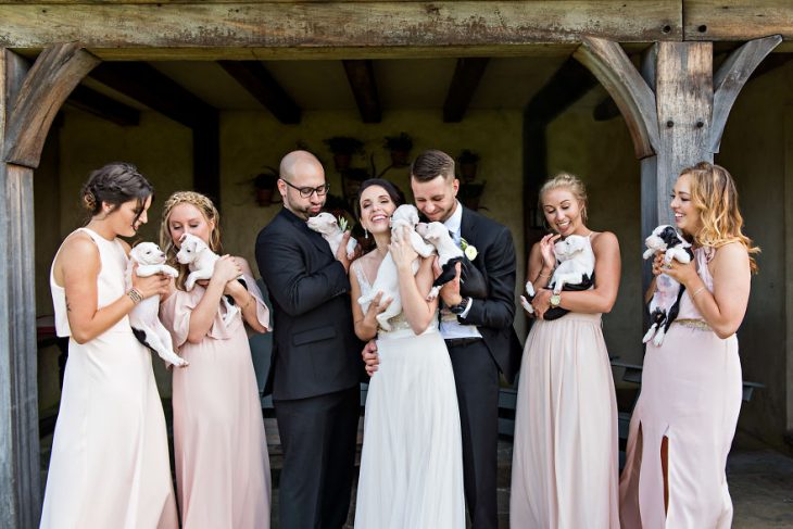 Pareja que adoptó a una camada de cachorros jugando con ellos el día de su boda 