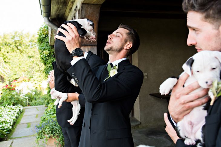 Pareja que adoptó a una camada de cachorros jugando con ellos el día de su boda 