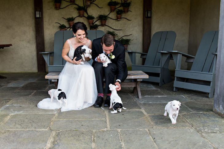 Pareja que adoptó a una camada de cachorros jugando con ellos el día de su boda 