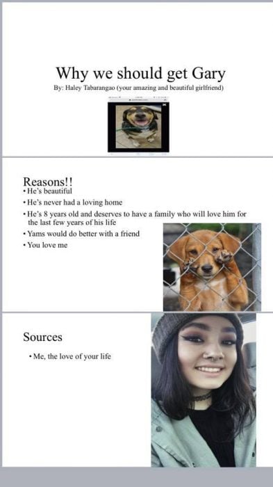 Presentación de una chica que convenció a su novio de adoptar a un cachorro