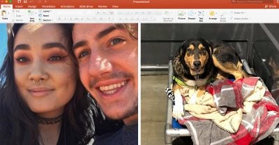 ¡Hembra alfa! Se ayuda de PowerPoint y convence a su novio para adoptar un perrito