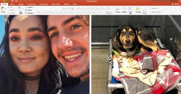 Esta chica usó el poder de PowerPoint para adoptar a un lindo cachorro
